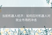 当前机器人经济：如何应对机器人对就业市场的冲击