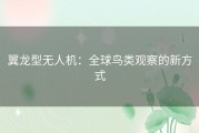 翼龙型无人机：全球鸟类观察的新方式