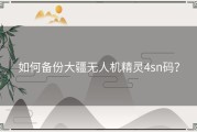 如何备份大疆无人机精灵4sn码？