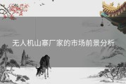 无人机山寨厂家的市场前景分析