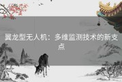 翼龙型无人机：多维监测技术的新支点