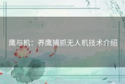 鹰与机：养鹰捕抓无人机技术介绍