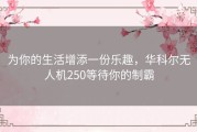 为你的生活增添一份乐趣，华科尔无人机250等待你的制霸