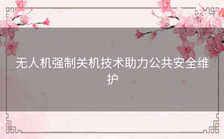 无人机强制关机技术助力公共安全维护