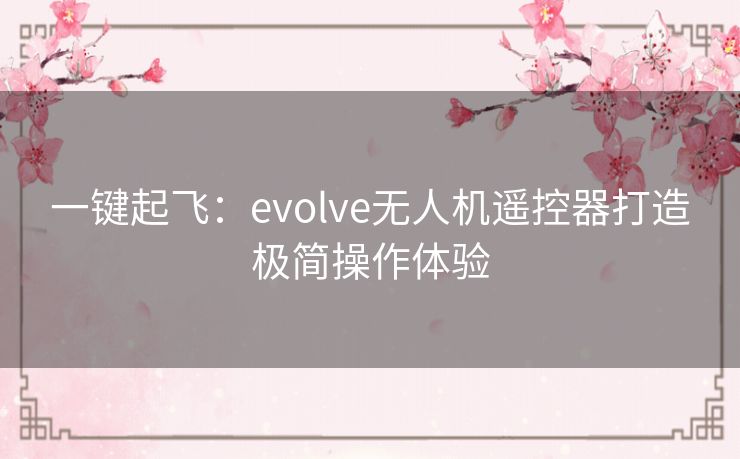 一键起飞：evolve无人机遥控器打造极简操作体验