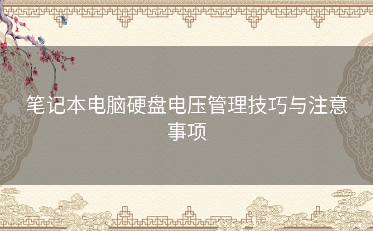 笔记本电脑硬盘电压管理技巧与注意事项