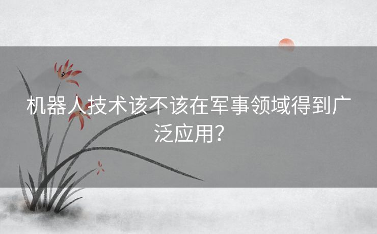 机器人技术该不该在军事领域得到广泛应用？