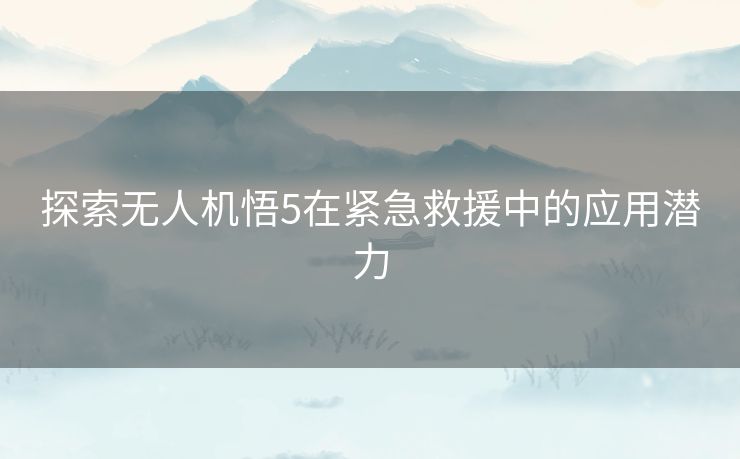 探索无人机悟5在紧急救援中的应用潜力