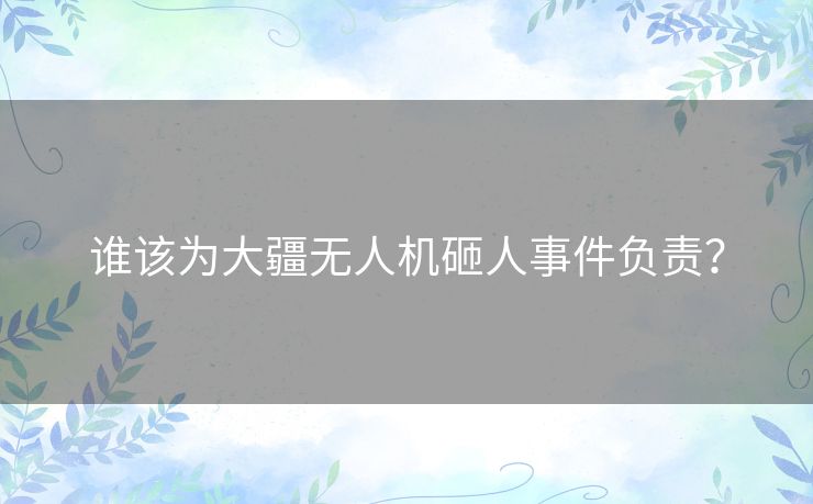 谁该为大疆无人机砸人事件负责？