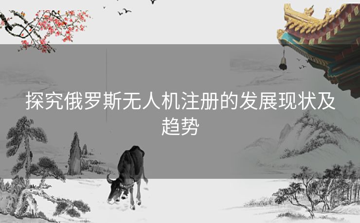 探究俄罗斯无人机注册的发展现状及趋势