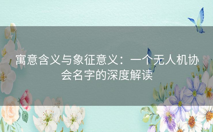 寓意含义与象征意义：一个无人机协会名字的深度解读