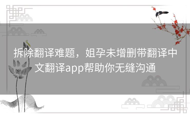 拆除翻译难题，姐孕未增删带翻译中文翻译app帮助你无缝沟通