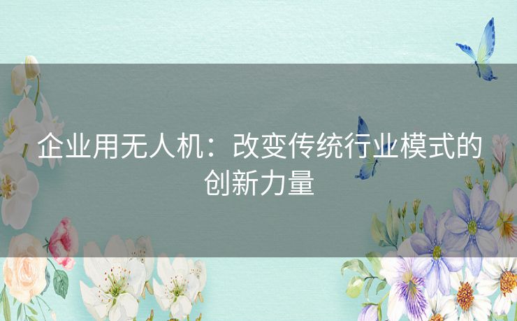 企业用无人机：改变传统行业模式的创新力量