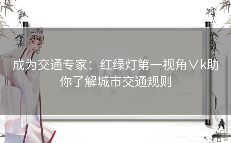 成为交通专家：红绿灯第一视角∨k助你了解城市交通规则