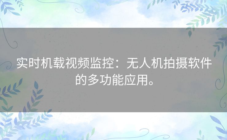 实时机载视频监控：无人机拍摄软件的多功能应用。