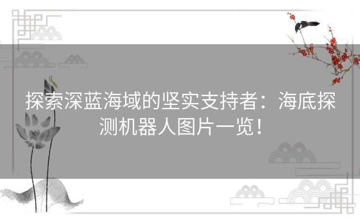 探索深蓝海域的坚实支持者：海底探测机器人图片一览！