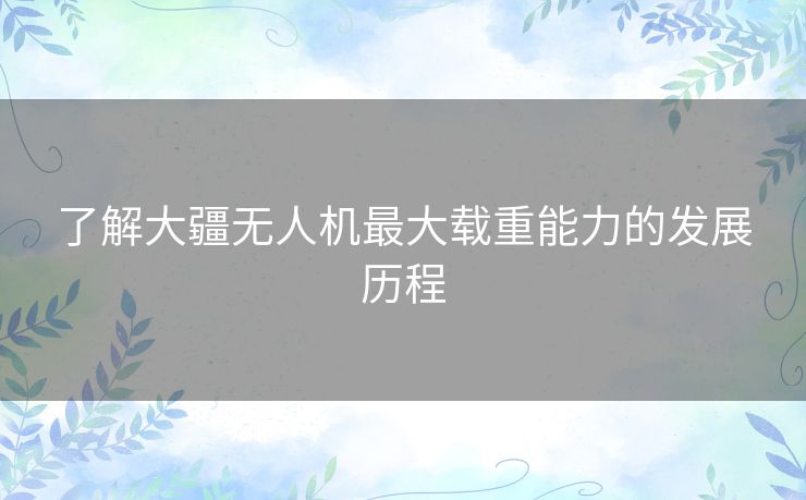 了解大疆无人机最大载重能力的发展历程