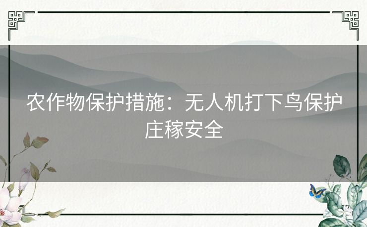 农作物保护措施：无人机打下鸟保护庄稼安全