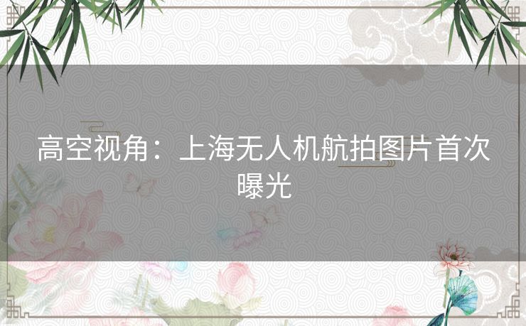 高空视角：上海无人机航拍图片首次曝光