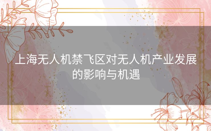 上海无人机禁飞区对无人机产业发展的影响与机遇