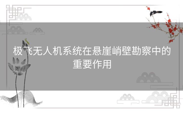 极飞无人机系统在悬崖峭壁勘察中的重要作用