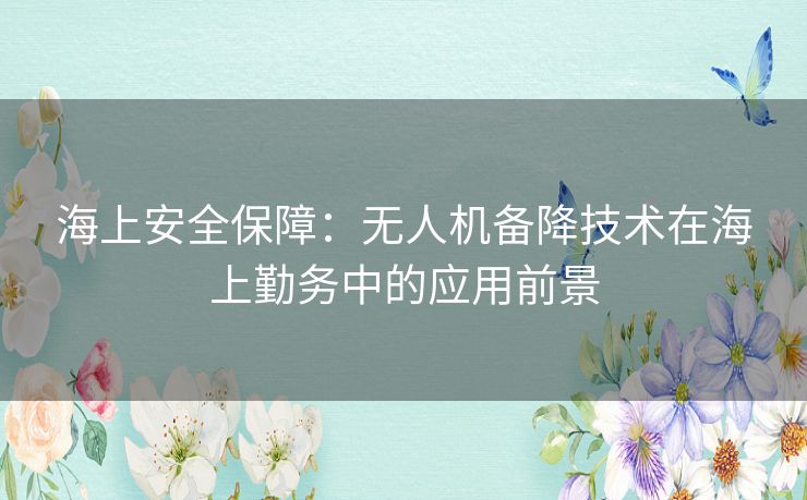 海上安全保障：无人机备降技术在海上勤务中的应用前景