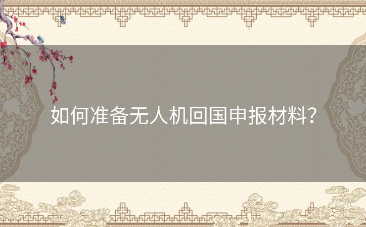 如何准备无人机回国申报材料？