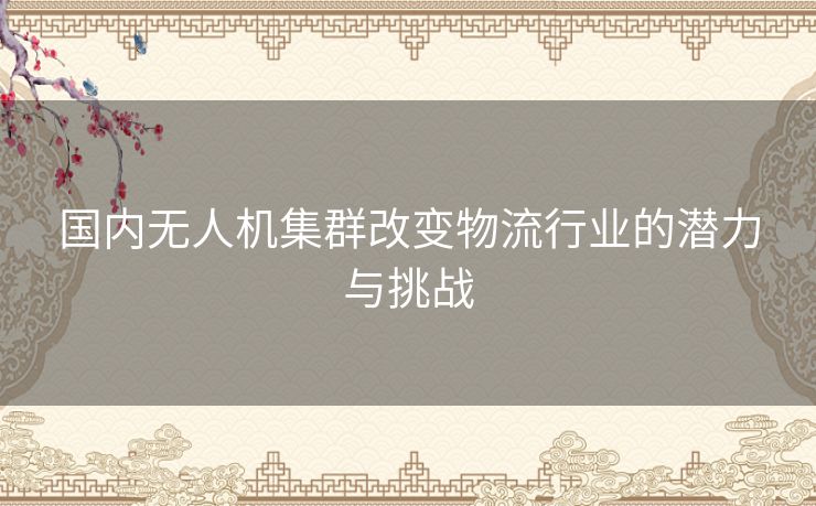 国内无人机集群改变物流行业的潜力与挑战