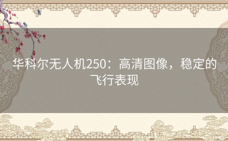 华科尔无人机250：高清图像，稳定的飞行表现