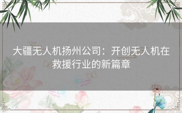 大疆无人机扬州公司：开创无人机在救援行业的新篇章
