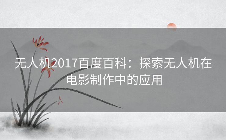 无人机2017百度百科：探索无人机在电影制作中的应用