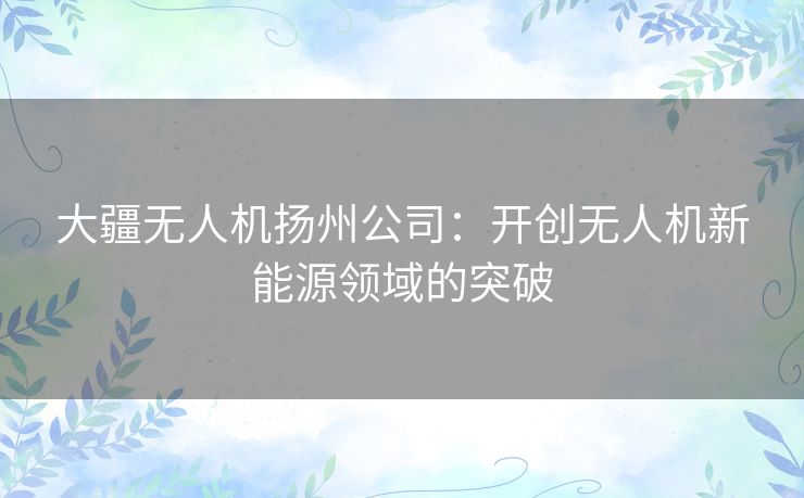 大疆无人机扬州公司：开创无人机新能源领域的突破