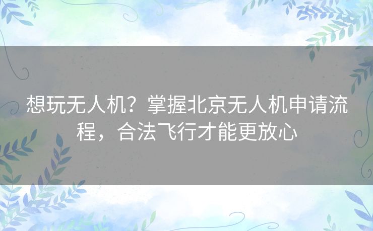 想玩无人机？掌握北京无人机申请流程，合法飞行才能更放心