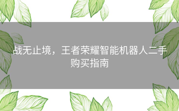 战无止境，王者荣耀智能机器人二手购买指南