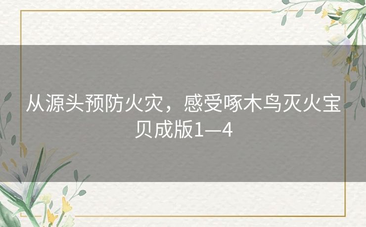 从源头预防火灾，感受啄木鸟灭火宝贝成版1—4