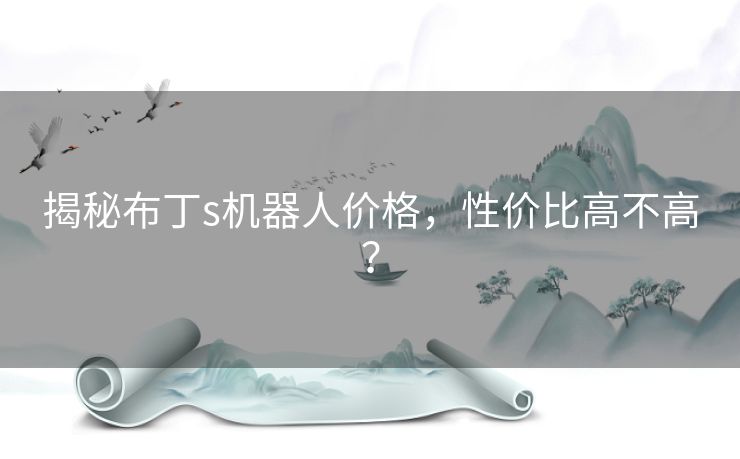 揭秘布丁s机器人价格，性价比高不高？