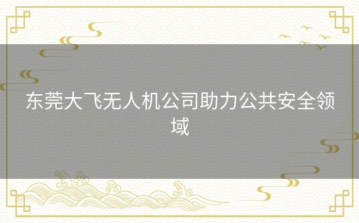 东莞大飞无人机公司助力公共安全领域