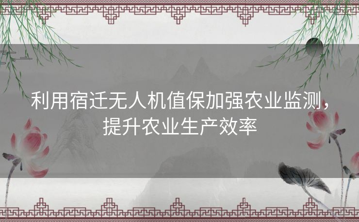 利用宿迁无人机值保加强农业监测，提升农业生产效率