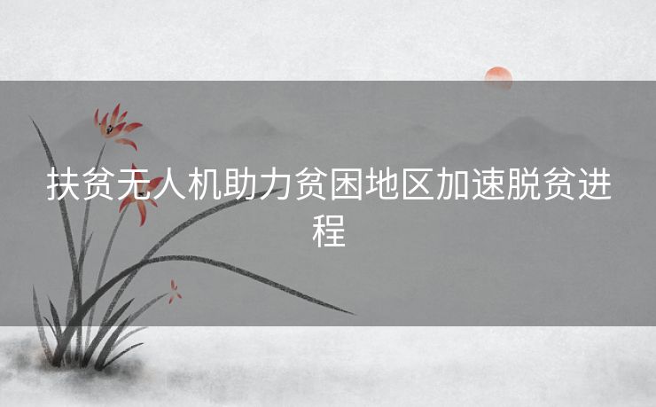 扶贫无人机助力贫困地区加速脱贫进程