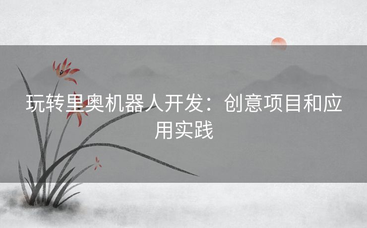 玩转里奥机器人开发：创意项目和应用实践