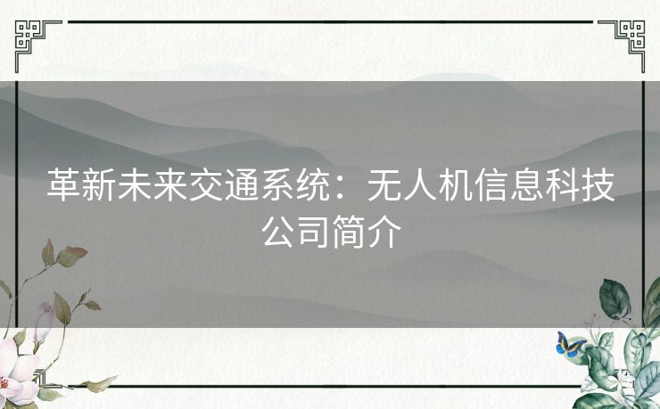 革新未来交通系统：无人机信息科技公司简介