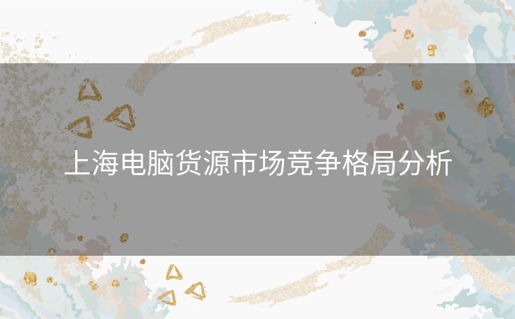 上海电脑货源市场竞争格局分析