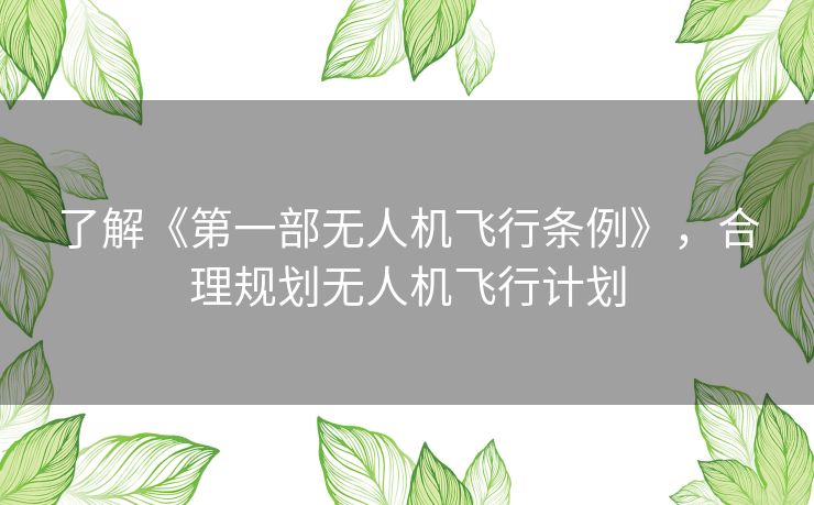 了解《第一部无人机飞行条例》，合理规划无人机飞行计划