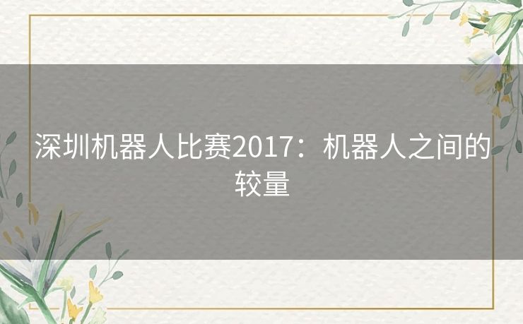 深圳机器人比赛2017：机器人之间的较量