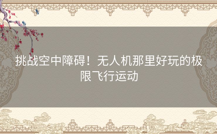 挑战空中障碍！无人机那里好玩的极限飞行运动