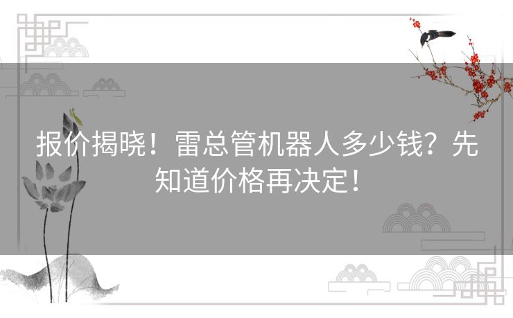 报价揭晓！雷总管机器人多少钱？先知道价格再决定！