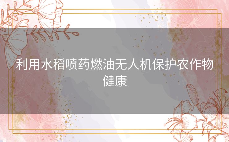 利用水稻喷药燃油无人机保护农作物健康