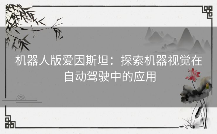 机器人版爱因斯坦：探索机器视觉在自动驾驶中的应用