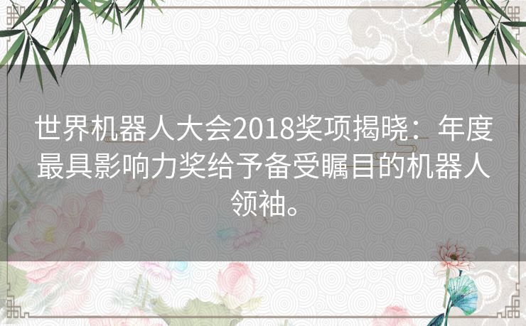 世界机器人大会2018奖项揭晓：年度最具影响力奖给予备受瞩目的机器人领袖。