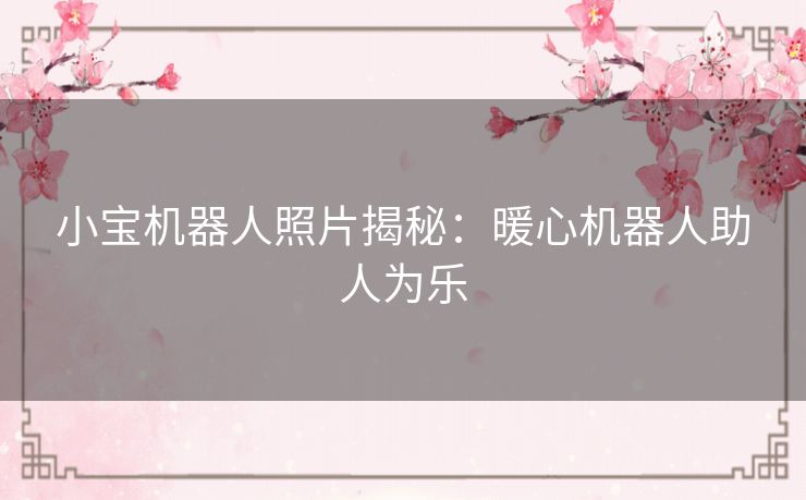 小宝机器人照片揭秘：暖心机器人助人为乐